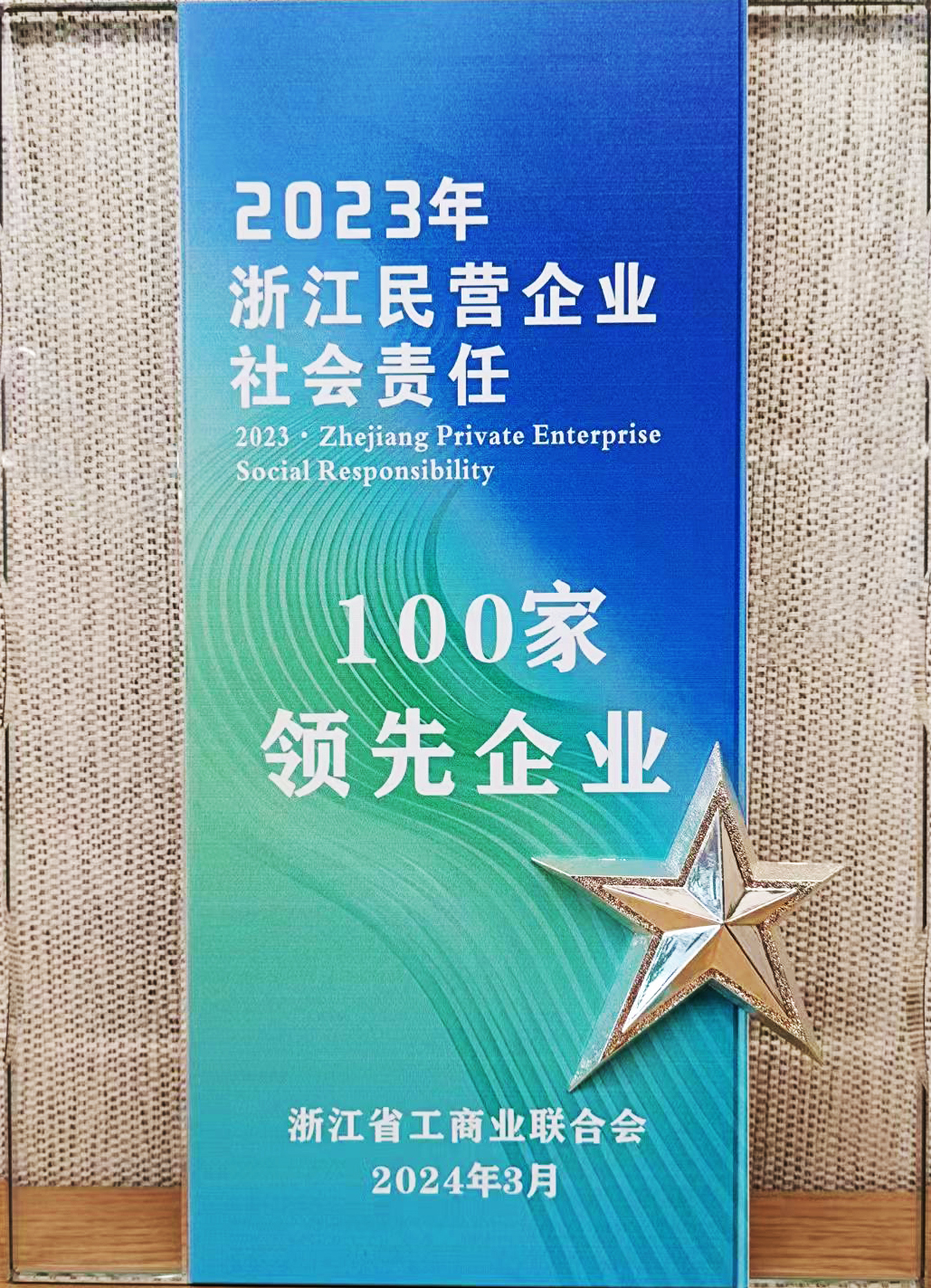 11.浙江民營(yíng)企業(yè)社會(huì)責(zé)任100家領(lǐng)先企業(yè)